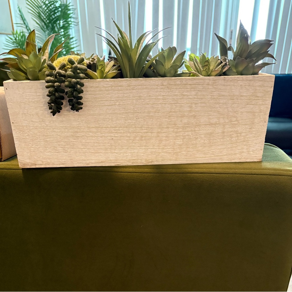 Wooden Planter with Succulents